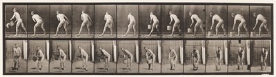 Placa 398. Levantando um balde de água para esvaziar, 1872-1885 de Eadweard Muybridge