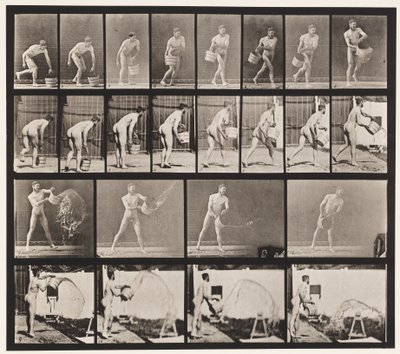 Placa 400. Esvaziando balde de água, 1872-1885 de Eadweard Muybridge
