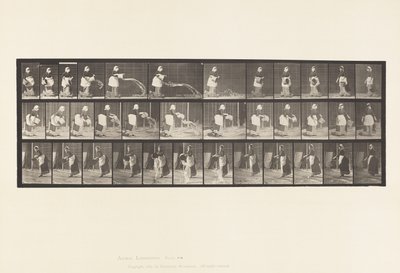Placa 404.Esconder balde de água, 1885 de Eadweard Muybridge