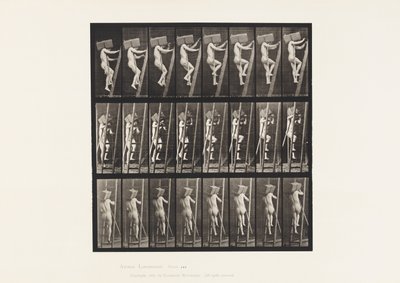 Placa 405. Carregando a mão de tijolos até uma escada, 1872-1885 de Eadweard Muybridge