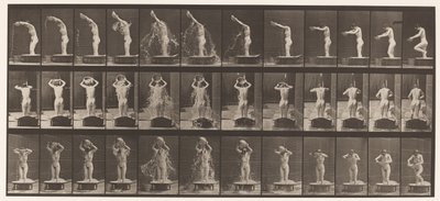 Placa 409. Bacia de despejo de água sobre a cabeça de Eadweard Muybridge