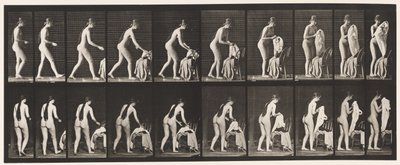 Placa 415. Vaso sanitário, preparando-se para vestir a roupa de Eadweard Muybridge