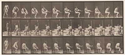 Chapa 418. Vaso sanitário, sentado e calçando meias, 1872-1885 de Eadweard Muybridge