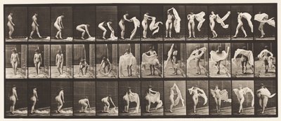 Prato 419. Vaso sanitário, inclinado, jogando envoltório ao redor dos ombros de Eadweard Muybridge