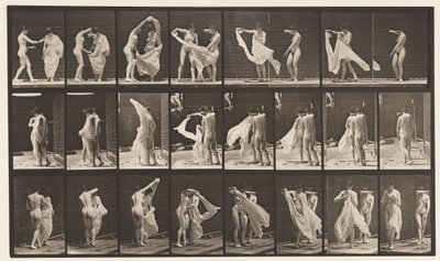 Chapa 429. Sanita; Dois Modelos, 1 Despir 8, 1872-1885 de Eadweard Muybridge