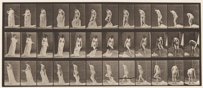 Placa 430. Sanita; Descolando Roupas, 1872-1885 de Eadweard Muybridge