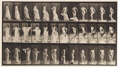 Placa 431. WC; Roupas para tirar de Eadweard Muybridge