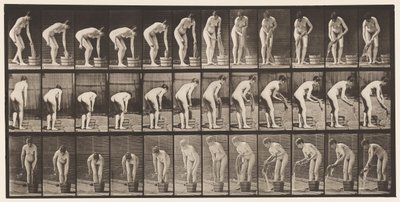 Prancha 433. Torcendo Roupas de Eadweard Muybridge