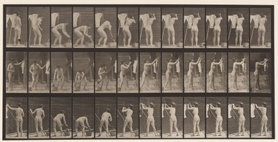Placa 434. Pendurando Roupas na Linha, 1872-1885 de Eadweard Muybridge