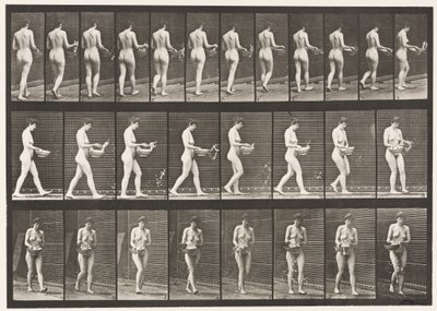 Placa 43. Caminhando, borrifando água da bacia, dando meia-volta de Eadweard Muybridge