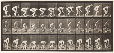 Placa 442. Inclinar-se e rolar uma pedra no chão de Eadweard Muybridge