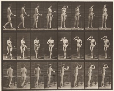 Prato 443. Beber de um cálice em pé de Eadweard Muybridge