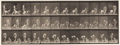 Placa 449. Alimentando um Cachorro de Eadweard Muybridge