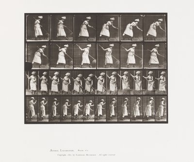 Placa 456. Raking Hay, 1885 de Eadweard Muybridge