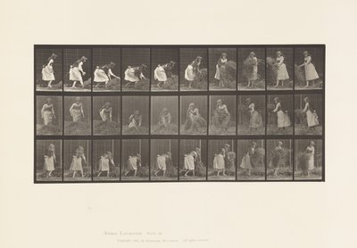 Prato 458. Levantamento de Feno, Virar, Atirar ao chão. de Eadweard Muybridge