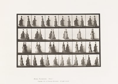 Prato 45. Reunião de Dois Modelos a Caminhar, e Viragem Parcial de Eadweard Muybridge