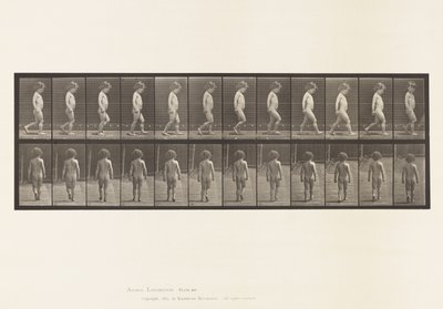 Placa 467.Criança, Andando, 1885 de Eadweard Muybridge