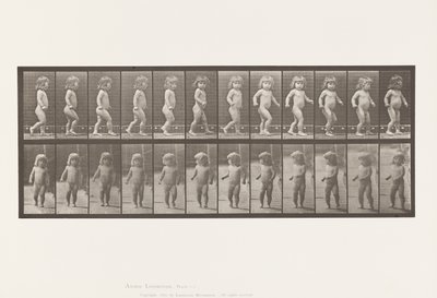Prato 468. Criança, Caminhando de Eadweard Muybridge