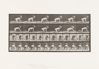 Placa 471. Criança, Rastejando de Mãos e Joelhos, 1885 de Eadweard Muybridge