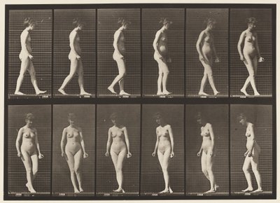 Placa 47. Caminhando e dando meia-volta de Eadweard Muybridge