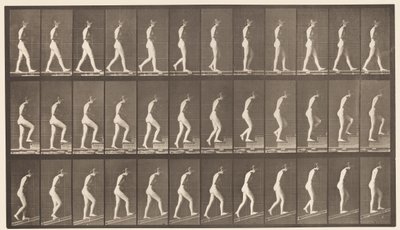 Placa 482. A, Andando; B, escadas ascendentes; C, Ascending Incline, 1872-1885 de Eadweard Muybridge