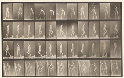 Placa 486. A, Lawn Tennis; B, Ascending a Step ;, 1872-1885 de Eadweard Muybridge