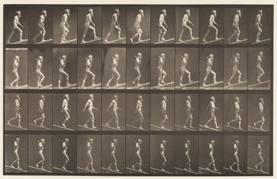 Placa 489. A, Inclinação Ascendente; 1872-1885 de Eadweard Muybridge