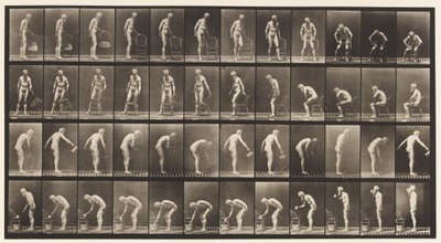 Placa 490. A, Sentado; B, sentado; C, aspersão de água de Eadweard Muybridge