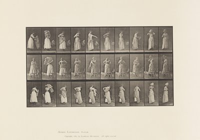 Prato 495. Fases Diversas da Casa de Banho de Eadweard Muybridge