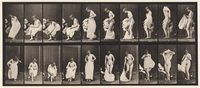 Placa 498. Fases Diversas do Banheiro, 1872-1885 de Eadweard Muybridge