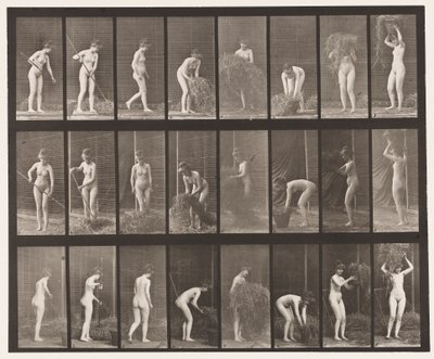 Placa 499. Ajuntando e Embalando o Feno, 1872-1885 de Eadweard Muybridge