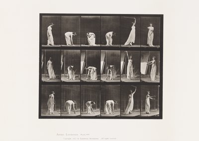 Prato 503. Miscelânea - Inclinação, etc de Eadweard Muybridge
