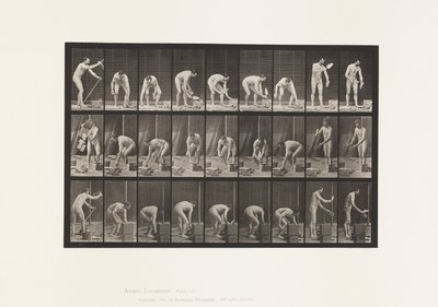Placa 505. Assentamento de tijolos de Eadweard Muybridge