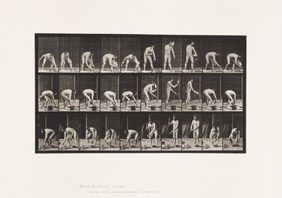 Placa 506. Assentamento de tijolos de Eadweard Muybridge