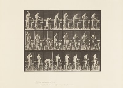 Placa 507. Carpintaria de Eadweard Muybridge