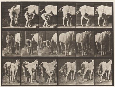 Placa 509. Calçando um Cavalo de Eadweard Muybridge