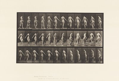 Prato 50. Andando, carregando um balde. de Eadweard Muybridge