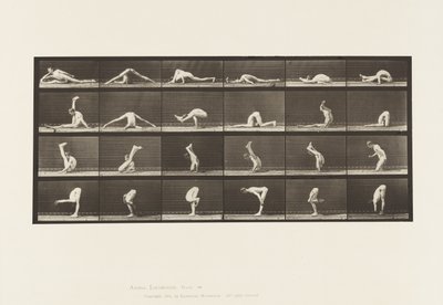 Placa 510. Contorções no Chão, 1872-1885 de Eadweard Muybridge