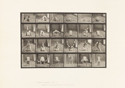 Placa 511. Contorções no solo de Eadweard Muybridge