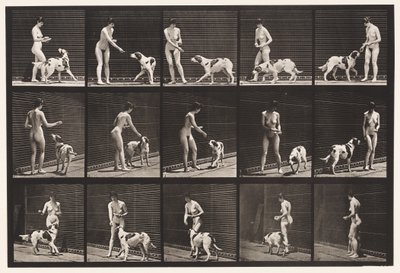 Prato 514. Alimentando um cão de Eadweard Muybridge
