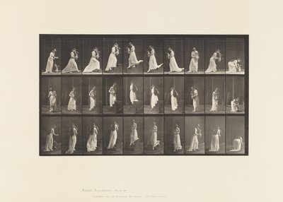 Placa 515. Escadas ascendentes e descendentes, etc., 1885 de Eadweard Muybridge