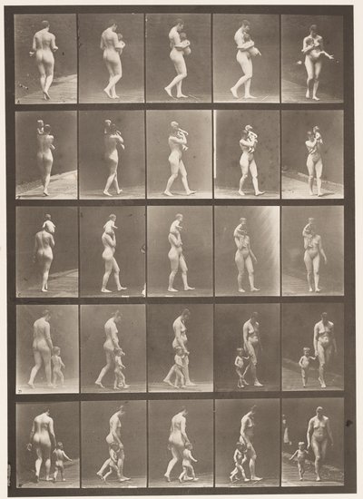Placa 528. A, B, C de Eadweard Muybridge