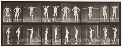 Placa 529. Várias Poses de Eadweard Muybridge