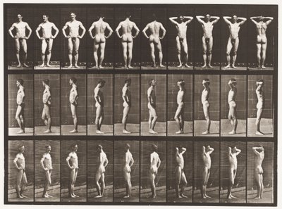Placa 530. Várias Poses de Eadweard Muybridge