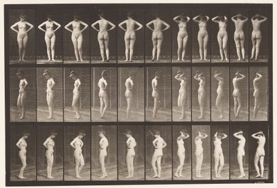 Placa 531. Várias Poses de Eadweard Muybridge