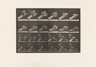 Placa 533. Movimento da Mão; Clasping Hands, 1885 de Eadweard Muybridge