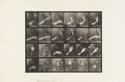 Placa 535. Movimento da Mão; Tempo Batendo, 1885 de Eadweard Muybridge