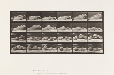 Prato 536. Movimento da Mão; Lápis de Troca de Mãos de Eadweard Muybridge