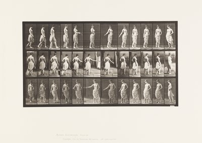 Prato 53. Caminhando, Espalhando Flores e Girando Ação de Eadweard Muybridge