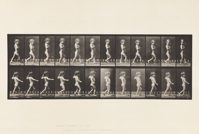 Placa 540.A, Pernas Curvas; Garoto; B, cárie espinhal; Menina andando, 1885 de Eadweard Muybridge